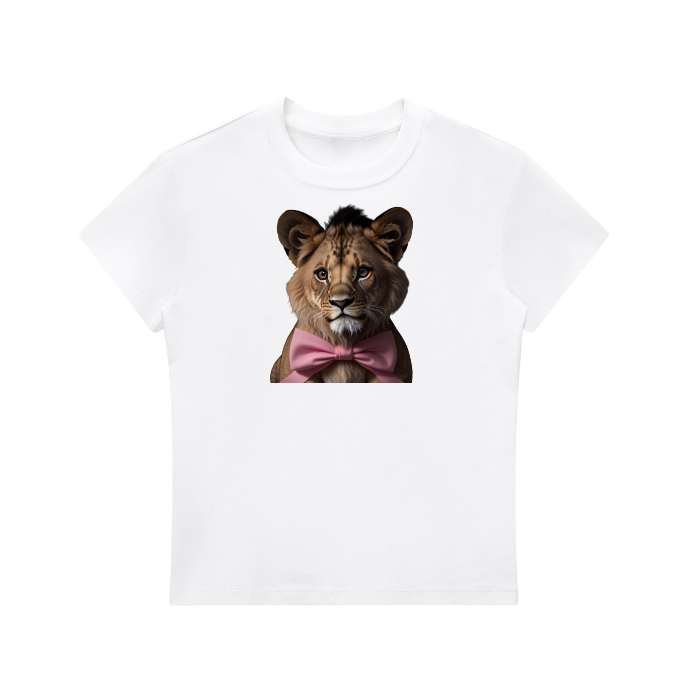 https://ajmall-vc-public-bucket.oss-us-west-1.aliyuncs.com/hugepod/material/custom_printing/86c47541ca8c4b86b6241d5bce30da7b.png